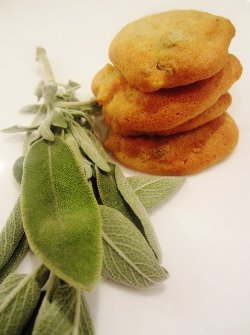 Apricot-Sage Cornbread Cookies