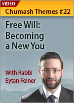 Free Will: Becoming a New You