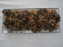 Teriyaki Salmon Roll with Shitake Mushrooms