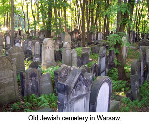Old Jewish cemetery in Warsaw