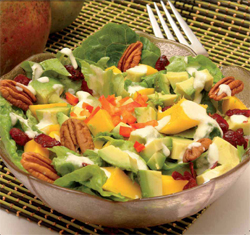 Mango, Avocado, and Romaine Lettuce Salad